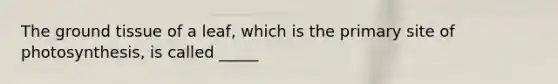 The ground tissue of a leaf, which is the primary site of photosynthesis, is called _____