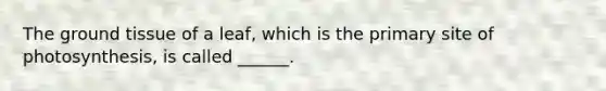 The <a href='https://www.questionai.com/knowledge/kb0kKBaH0H-ground-tissue' class='anchor-knowledge'>ground tissue</a> of a leaf, which is the primary site of photosynthesis, is called ______.