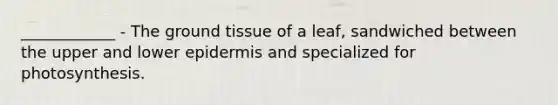 ____________ - The ground tissue of a leaf, sandwiched between the upper and lower epidermis and specialized for photosynthesis.