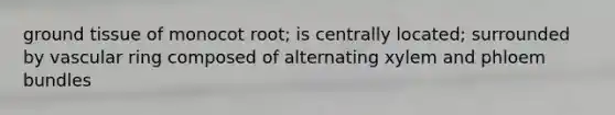 ground tissue of monocot root; is centrally located; surrounded by vascular ring composed of alternating xylem and phloem bundles