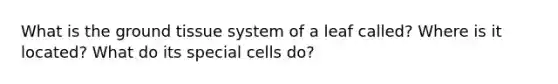 What is the ground tissue system of a leaf called? Where is it located? What do its special cells do?