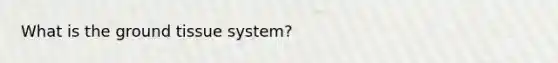 What is the ground tissue system?