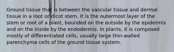 Ground tissue that is between the vascular tissue and dermal tissue in a root or dicot stem. It is the outermost layer of the stem or root of a plant, bounded on the outside by the epidermis and on the inside by the endodermis. In plants, it is composed mostly of differentiated cells, usually large thin-walled parenchyma cells of the ground tissue system.