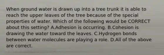 When ground water is drawn up into a tree trunk it is able to reach the upper leaves of the tree because of the special properties of water. Which of the following would be CORRECT about this setting? A.Adhesion is occurring. B.Cohesion is drawing the water toward the leaves. C.Hydrogen bonds between water molecules are playing a role. D.All of the above are correct.