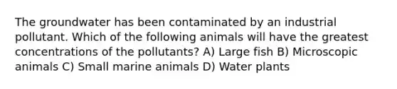 The groundwater has been contaminated by an industrial pollutant. Which of the following animals will have the greatest concentrations of the pollutants? A) Large fish B) Microscopic animals C) Small marine animals D) Water plants