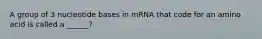 A group of 3 nucleotide bases in mRNA that code for an amino acid is called a ______?