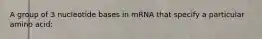 A group of 3 nucleotide bases in mRNA that specify a particular amino acid: