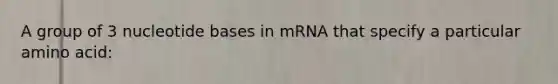 A group of 3 nucleotide bases in mRNA that specify a particular amino acid: