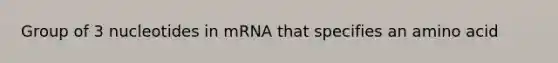 Group of 3 nucleotides in mRNA that specifies an amino acid