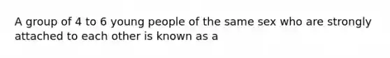 A group of 4 to 6 young people of the same sex who are strongly attached to each other is known as a