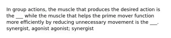 In group actions, the muscle that produces the desired action is the ___ while the muscle that helps the prime mover function more efficiently by reducing unnecessary movement is the ___. synergist, agonist agonist; synergist