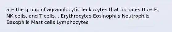 are the group of agranulocytic leukocytes that includes B cells, NK cells, and T cells. . Erythrocytes Eosinophils Neutrophils Basophils Mast cells Lymphocytes