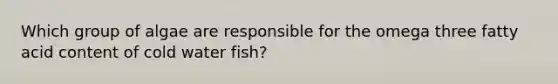 Which group of algae are responsible for the omega three fatty acid content of cold water fish?