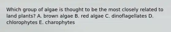 Which group of algae is thought to be the most closely related to land plants? A. brown algae B. red algae C. dinoflagellates D. chlorophytes E. charophytes