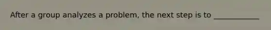 After a group analyzes a problem, the next step is to ____________