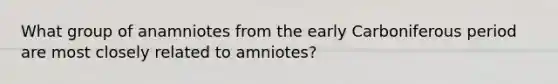 What group of anamniotes from the early Carboniferous period are most closely related to amniotes?