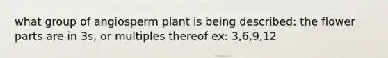 what group of angiosperm plant is being described: the flower parts are in 3s, or multiples thereof ex: 3,6,9,12