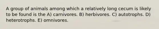 A group of animals among which a relatively long cecum is likely to be found is the A) carnivores. B) herbivores. C) autotrophs. D) heterotrophs. E) omnivores.