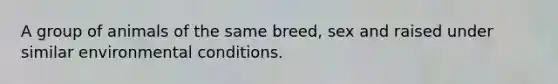 A group of animals of the same breed, sex and raised under similar environmental conditions.