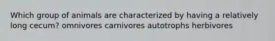 Which group of animals are characterized by having a relatively long cecum? omnivores carnivores autotrophs herbivores