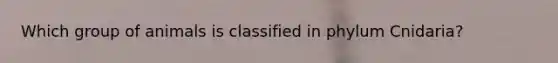 Which group of animals is classified in phylum Cnidaria?