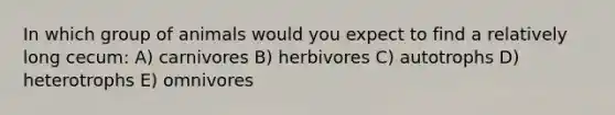 In which group of animals would you expect to find a relatively long cecum: A) carnivores B) herbivores C) autotrophs D) heterotrophs E) omnivores