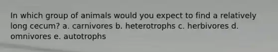In which group of animals would you expect to find a relatively long cecum? a. carnivores b. heterotrophs c. herbivores d. omnivores e. autotrophs