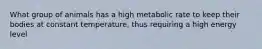 What group of animals has a high metabolic rate to keep their bodies at constant temperature, thus requiring a high energy level