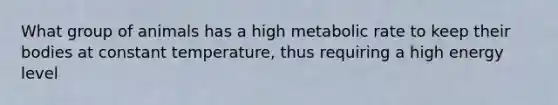 What group of animals has a high metabolic rate to keep their bodies at constant temperature, thus requiring a high energy level