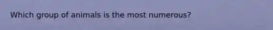 Which group of animals is the most numerous?