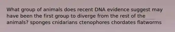 What group of animals does recent DNA evidence suggest may have been the first group to diverge from the rest of the animals? sponges cnidarians ctenophores chordates flatworms