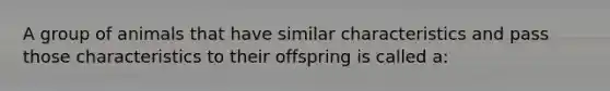 A group of animals that have similar characteristics and pass those characteristics to their offspring is called a: