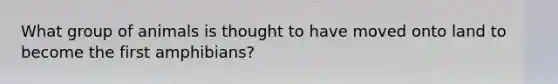 What group of animals is thought to have moved onto land to become the first amphibians?