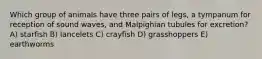 Which group of animals have three pairs of legs, a tympanum for reception of sound waves, and Malpighian tubules for excretion? A) starfish B) lancelets C) crayfish D) grasshoppers E) earthworms