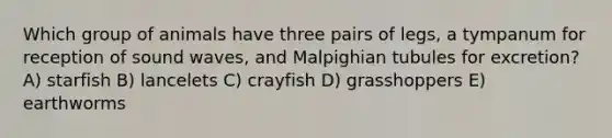 Which group of animals have three pairs of legs, a tympanum for reception of sound waves, and Malpighian tubules for excretion? A) starfish B) lancelets C) crayfish D) grasshoppers E) earthworms