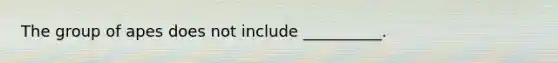 The group of apes does not include __________.