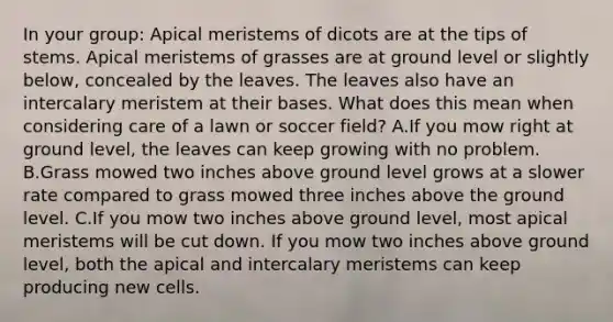 In your group: Apical meristems of dicots are at the tips of stems. Apical meristems of grasses are at ground level or slightly below, concealed by the leaves. The leaves also have an intercalary meristem at their bases. What does this mean when considering care of a lawn or soccer field? A.If you mow right at ground level, the leaves can keep growing with no problem. B.Grass mowed two inches above ground level grows at a slower rate compared to grass mowed three inches above the ground level. C.If you mow two inches above ground level, most apical meristems will be cut down. If you mow two inches above ground level, both the apical and intercalary meristems can keep producing new cells.