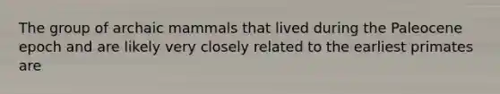 The group of archaic mammals that lived during the Paleocene epoch and are likely very closely related to the earliest primates are