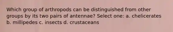 Which group of arthropods can be distinguished from other groups by its two pairs of antennae? Select one: a. chelicerates b. millipedes c. insects d. crustaceans