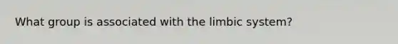 What group is associated with the limbic system?