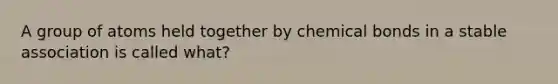 A group of atoms held together by chemical bonds in a stable association is called what?