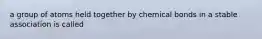 a group of atoms held together by chemical bonds in a stable association is called