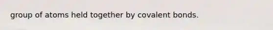 group of atoms held together by covalent bonds.