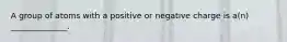 A group of atoms with a positive or negative charge is a(n) ______________.