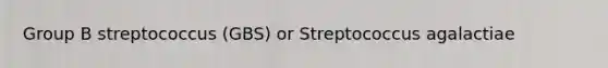 Group B streptococcus (GBS) or Streptococcus agalactiae