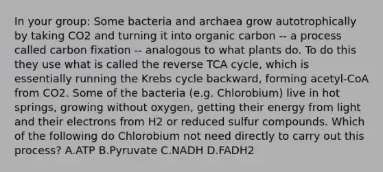 In your group: Some bacteria and archaea grow autotrophically by taking CO2 and turning it into organic carbon -- a process called carbon fixation -- analogous to what plants do. To do this they use what is called the reverse TCA cycle, which is essentially running the Krebs cycle backward, forming acetyl-CoA from CO2. Some of the bacteria (e.g. Chlorobium) live in hot springs, growing without oxygen, getting their energy from light and their electrons from H2 or reduced sulfur compounds. Which of the following do Chlorobium not need directly to carry out this process? A.ATP B.Pyruvate C.NADH D.FADH2