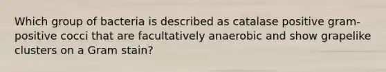 Which group of bacteria is described as catalase positive gram-positive cocci that are facultatively anaerobic and show grapelike clusters on a Gram stain?