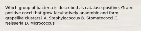 Which group of bacteria is described as catalase-positive, Gram-positive cocci that grow facultatively anaerobic and form grapelike clusters? A. Staphylococcus B. Stomatococci C. Neisseria D. Micrococcus