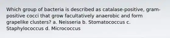 Which group of bacteria is described as catalase-positive, gram-positive cocci that grow facultatively anaerobic and form grapelike clusters? a. Neisseria b. Stomatococcus c. Staphylococcus d. Micrococcus