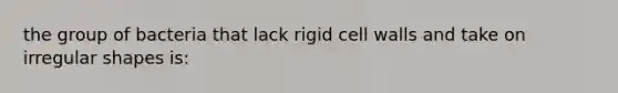 the group of bacteria that lack rigid cell walls and take on irregular shapes is: